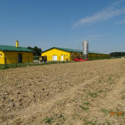 Farma Pilia Rei 2